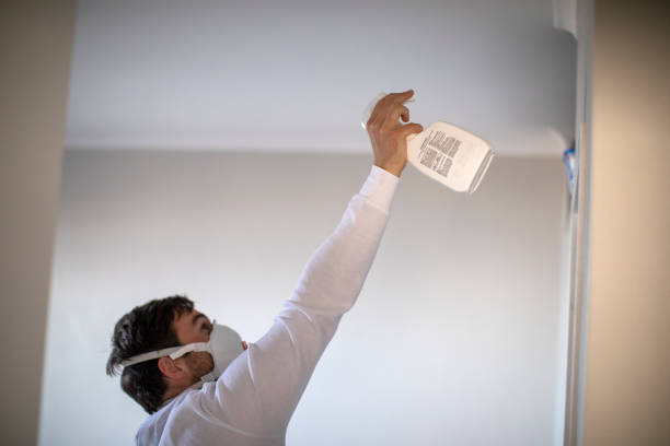 Best Professional Mold Removal  in Penn State Erie, PA