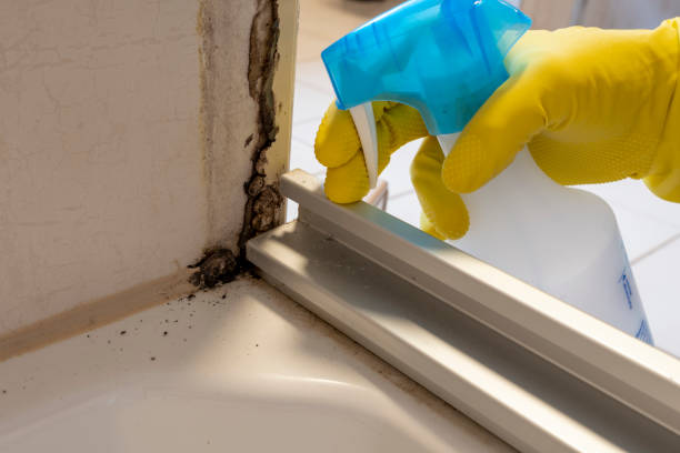 Best Commercial Mold Removal  in Penn State Erie, PA