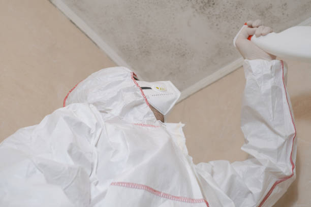 Water Damage Restoration in Penn State Erie, PA