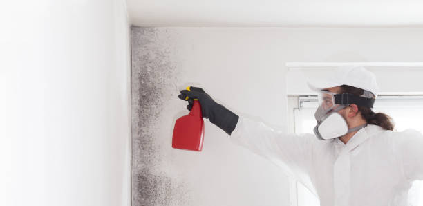 Best Crawl Space Mold Removal  in Penn State Erie, PA